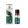 Organic Rosemary Cineol Essential Oil